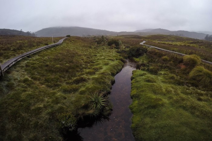 DCIM100GOPROG0143459.