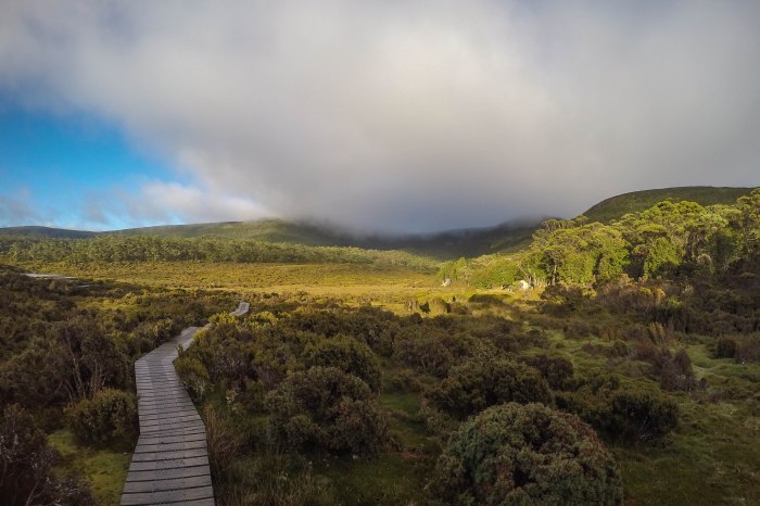 DCIM100GOPROG0293503.