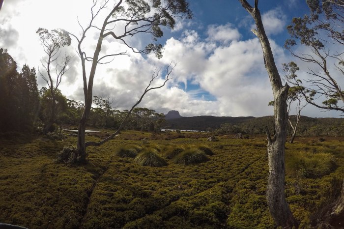 DCIM100GOPROG0323509.