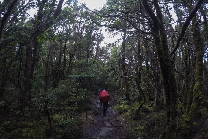 DCIM100GOPROG0373514.