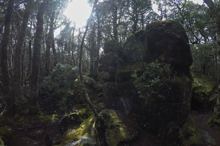 DCIM100GOPROG0433522.