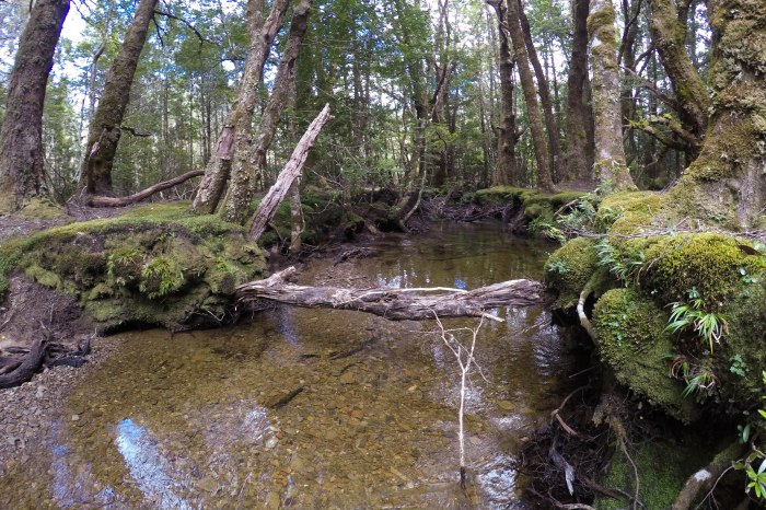 DCIM100GOPROG1053604.