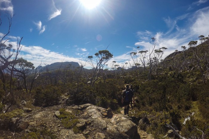 DCIM100GOPROG1113614.