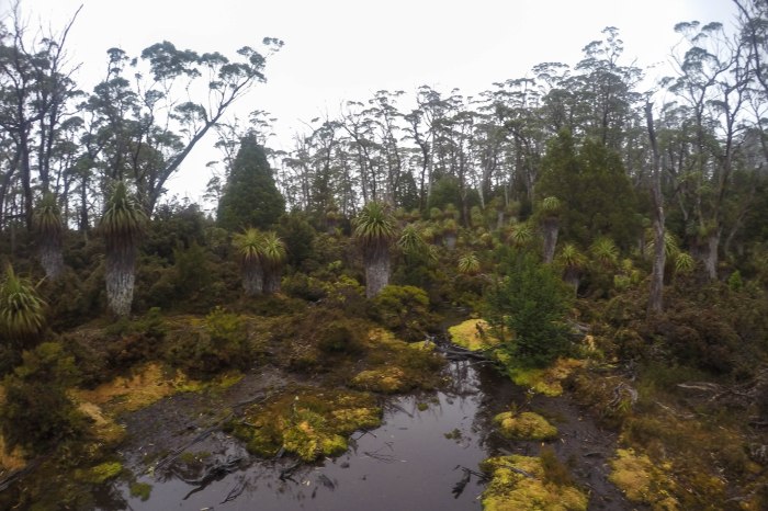 DCIM100GOPROG1353656.