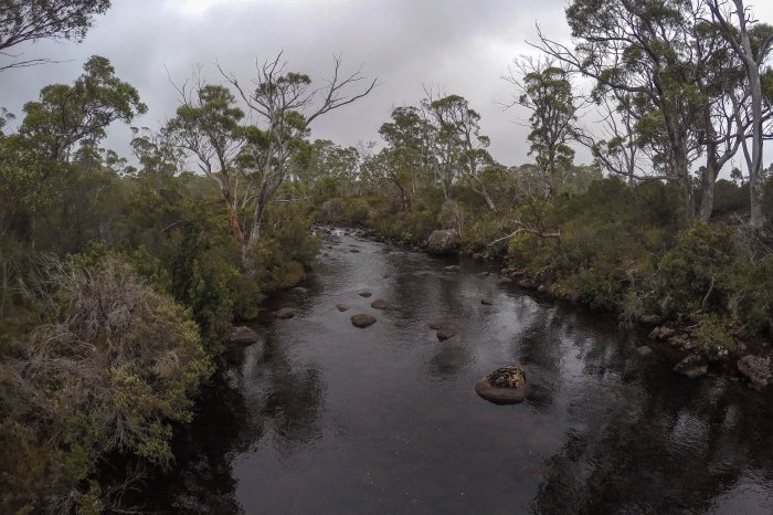 DCIM100GOPROG1744285.